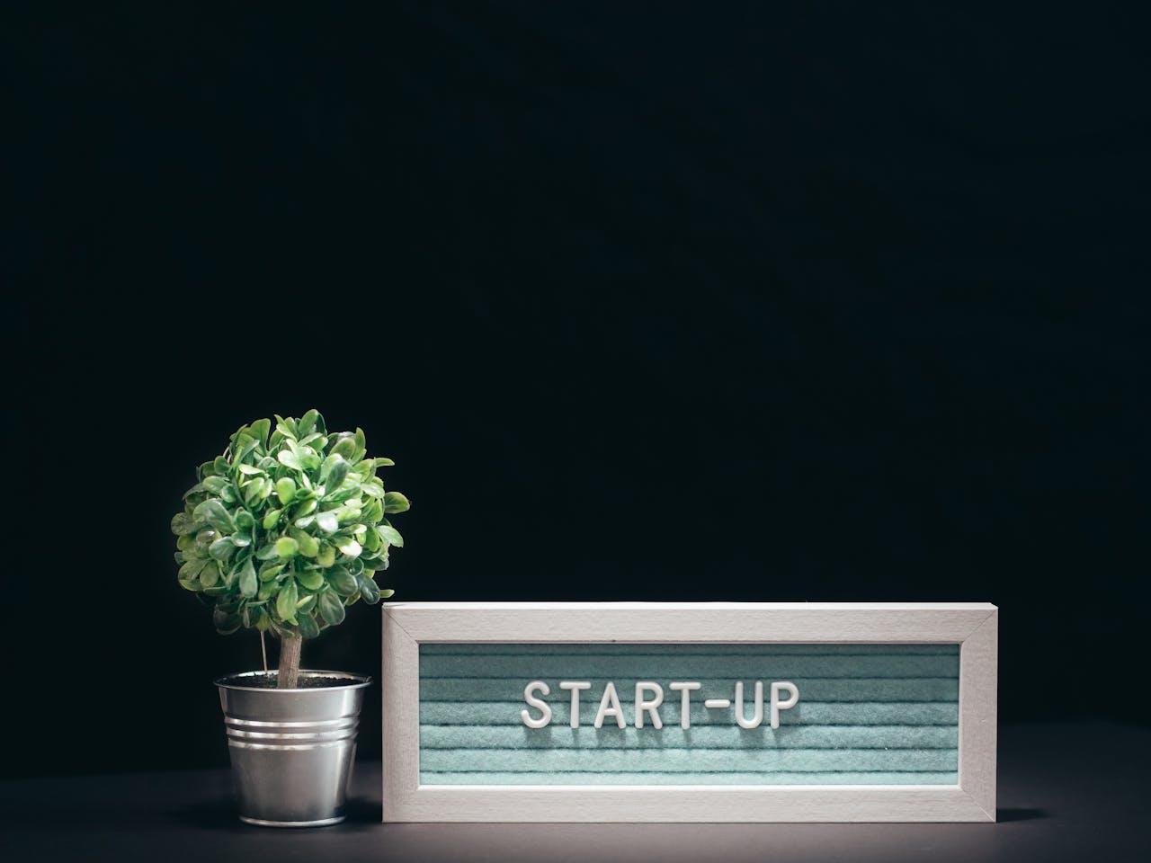 A modern close-up of a start-up theme with a potted plant and text board on a black background.